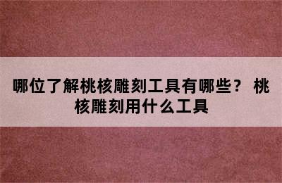 哪位了解桃核雕刻工具有哪些？ 桃核雕刻用什么工具